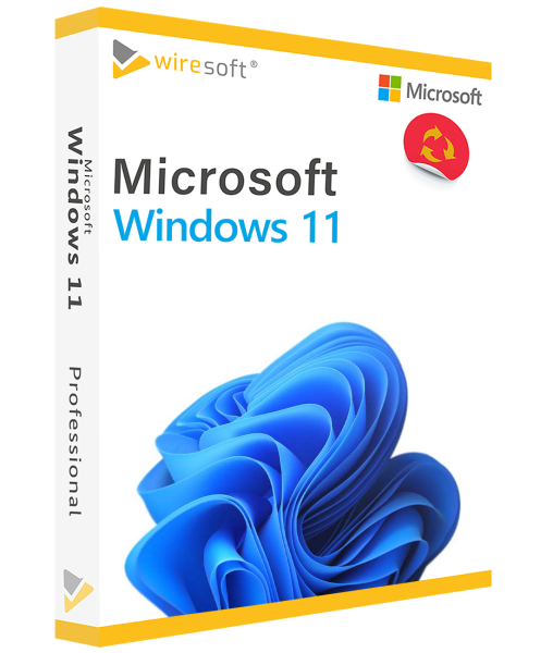 MICROSOFT WINDOWS 11 PROFESSIONAL KEIN ABO - VOLLVERSION - ANSTATT 99 Euro